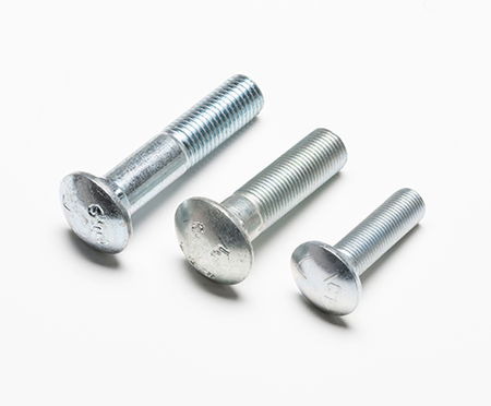 Carriage Bolt